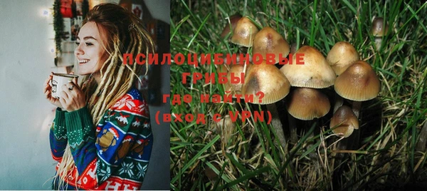 прущая мука Абаза