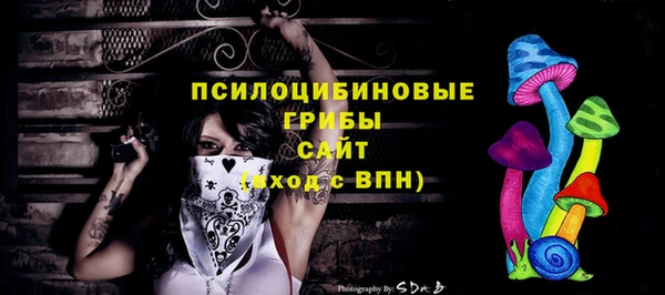 прущая мука Абаза