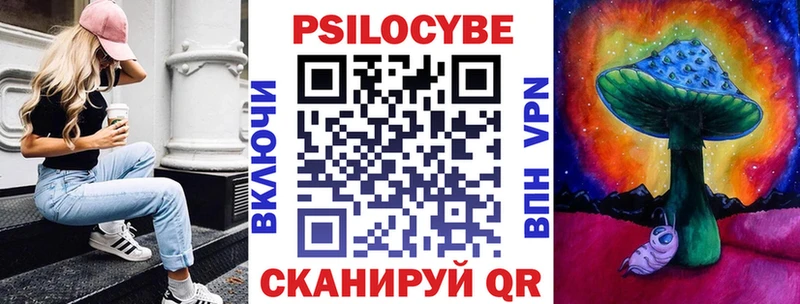 Псилоцибиновые грибы ЛСД  наркотики  darknet как зайти  Новотитаровская  blacksprut как войти 