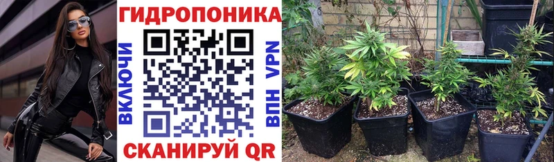 закладка  Новотитаровская  Марихуана THC 21% 